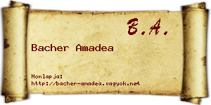 Bacher Amadea névjegykártya